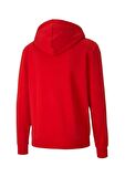 Puma Erkek Sweatshirts Teamgoal 23 Causals Hooded 65670801